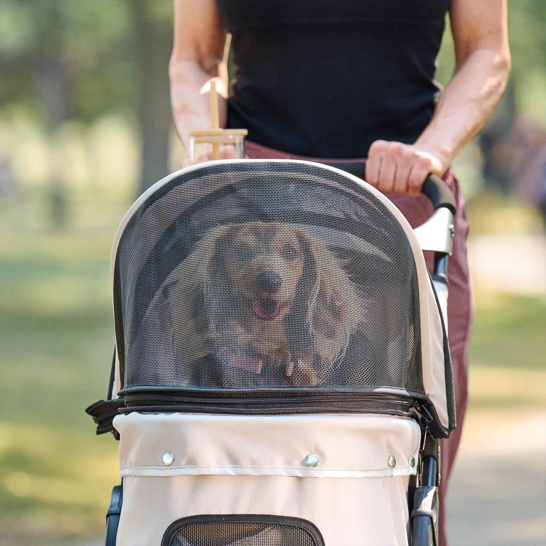 Small Dog and Cat Stroller with Breathable Mesh Foldable Design