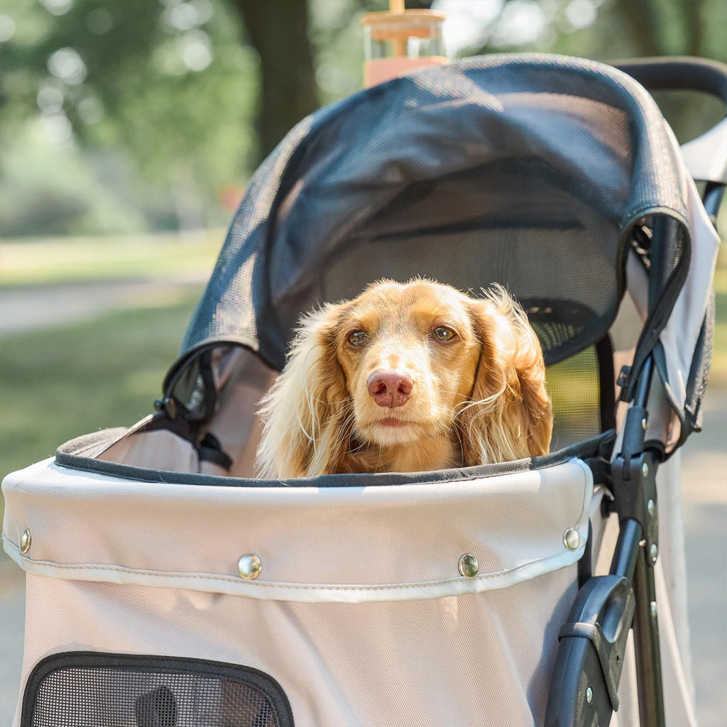 Small Dog and Cat Stroller with Breathable Mesh Foldable Design